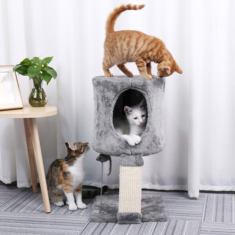 modern kedi mobilyaları DekorBlog